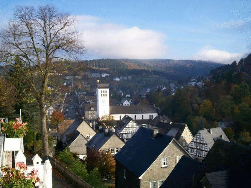 ホテル Zur Fredeburg シュマレンベルク エクステリア 写真